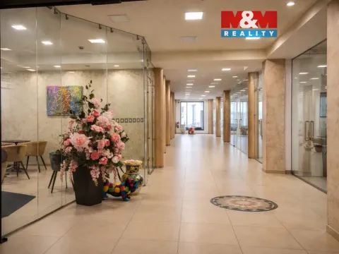 Pronájem obchodního prostoru, Benešov, Masarykovo náměstí, 38 m2