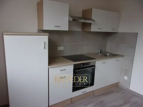 Pronájem bytu 2+kk, Ústí nad Labem, Peškova, 38 m2