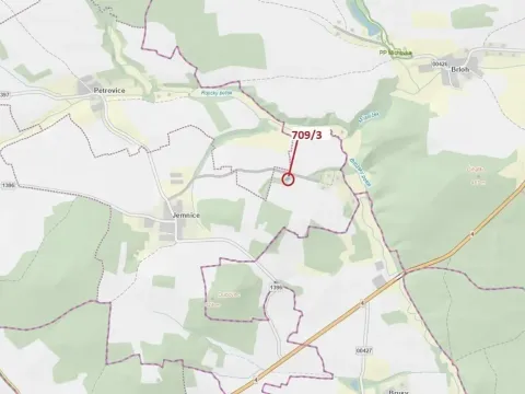 Dražba lesa, Osek, 301 m2