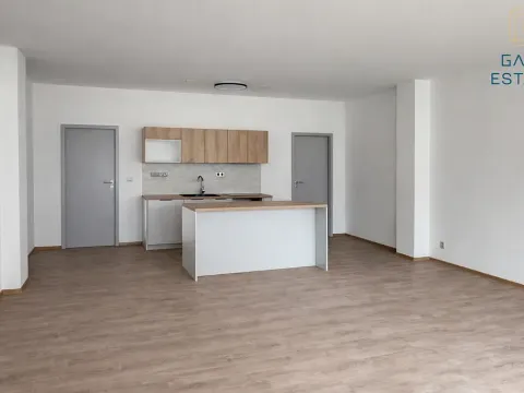 Pronájem bytu 1+kk, Bystřice pod Hostýnem, Sídliště, 75 m2