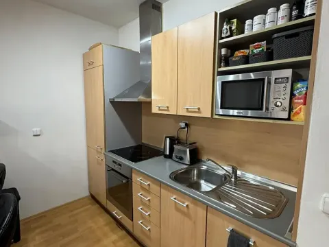 Pronájem bytu 1+kk, Brno, Kosmova, 40 m2