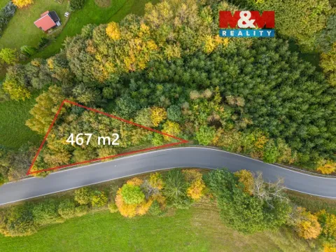 Prodej lesa, Kosov, 467 m2