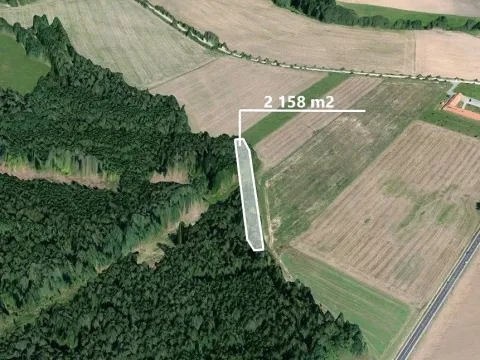 Prodej lesa, Dolní Třebonín, 2158 m2