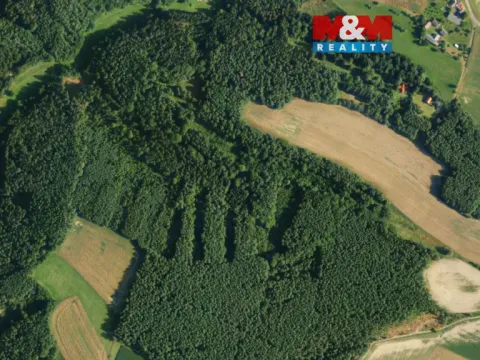 Prodej lesa, Všelibice - Přibyslavice, 23199 m2