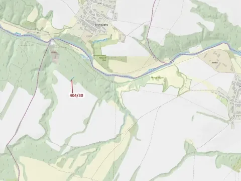 Dražba lesa, Ivančice, 409 m2