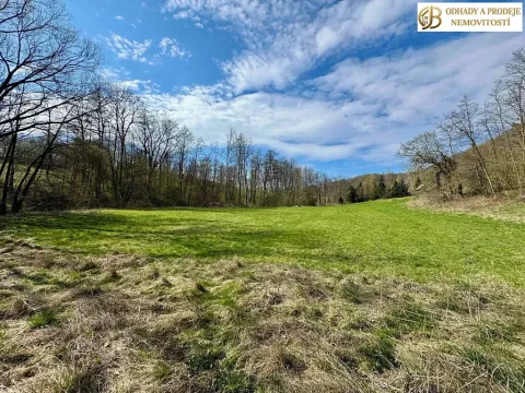 Prodej pozemku pro bydlení, Libina, 8112 m2