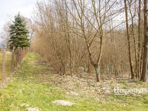 Prodej lesa, Železný Brod, Příkrá, 2712 m2