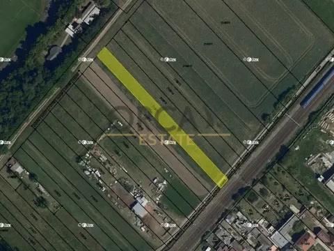 Prodej pole, Moravský Písek, 1243 m2