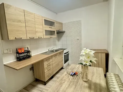 Pronájem bytu 2+1, Most, Pionýrů, 52 m2