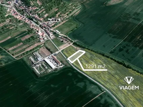 Prodej pole, Syrovín, 1291 m2