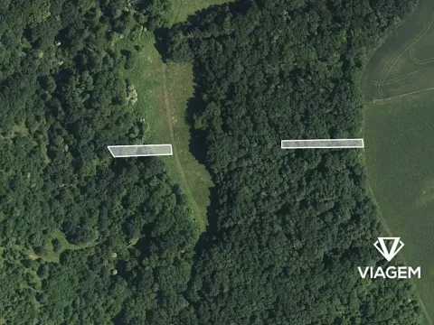 Prodej lesa, Hradčovice, 805 m2