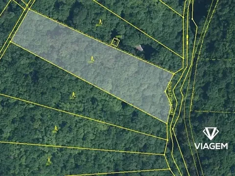 Prodej podílu lesa, Brno, 1092 m2