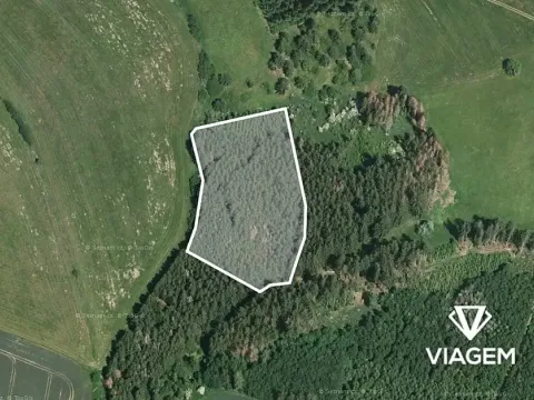 Prodej podílu lesa, Radošovice, 2390 m2