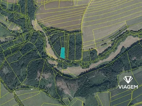 Prodej podílu lesa, Chýstovice, 485 m2