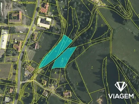 Prodej zahrady, Horní Čermná, 3980 m2