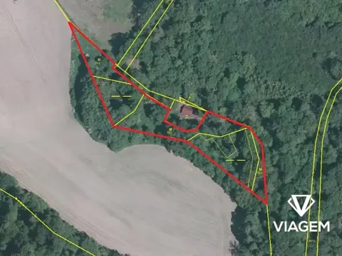 Prodej podílu lesa, Vráž, 3564 m2