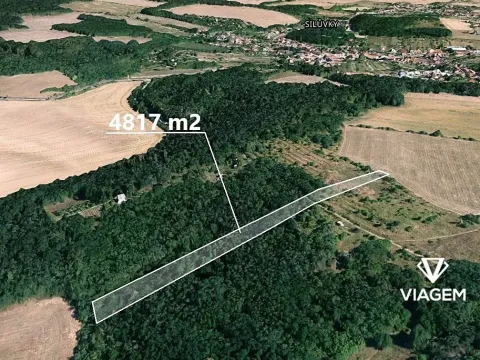 Prodej lesa, Silůvky, 4817 m2