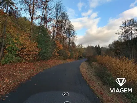 Prodej podílu lesa, Stružinec, 1339 m2