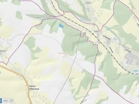 Prodej lesa, Horní Olešnice, 7037 m2