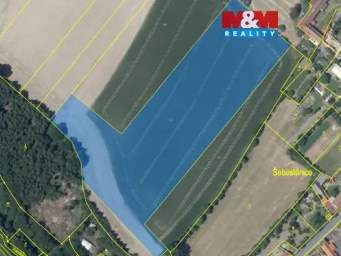 Prodej pole, Šebestěnice, 38069 m2