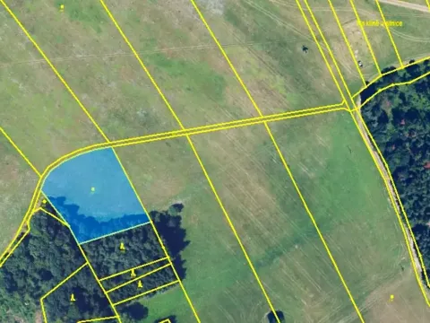 Prodej louky, Lipová, 3651 m2