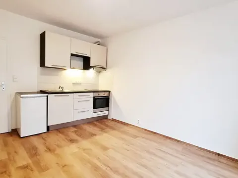 Pronájem bytu 1+kk, Brno, Karáskovo náměstí, 25 m2