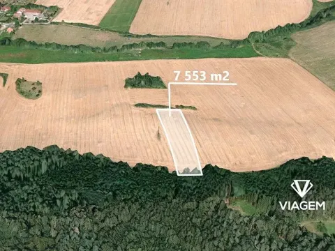 Prodej pole, Sedliště, 7553 m2