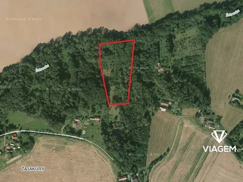 Prodej podílu lesa, Sobotka, 2241 m2