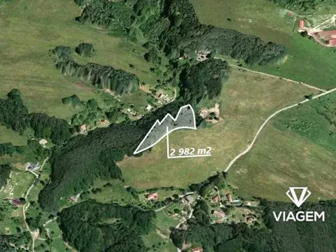 Prodej lesa, Zákupy, 2982 m2