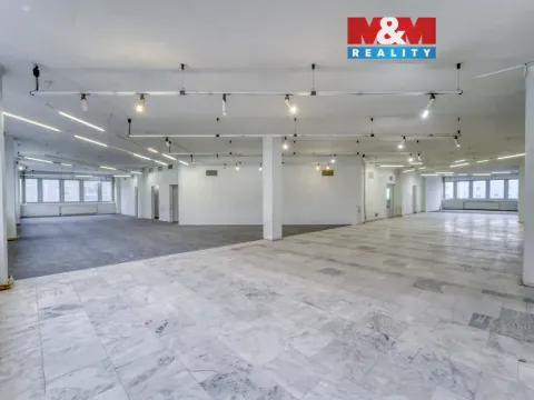 Pronájem obchodního prostoru, Plzeň - Severní Předměstí, alej Svobody, 641 m2