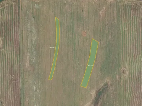 Prodej pole, Újezd u Boskovic, 15360 m2