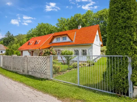 Prodej rodinného domu, Ždírec nad Doubravou, 290 m2