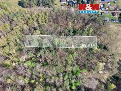 Prodej lesa, Sadská, 1964 m2