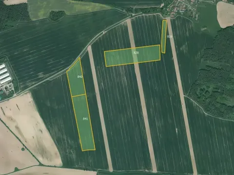 Prodej pole, Poběžovice, 64029 m2