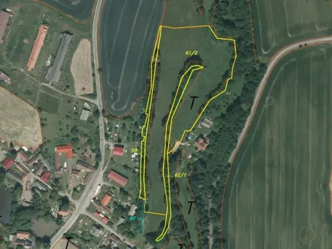 Dražba louky, Mladá Vožice, 26557 m2