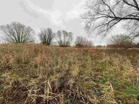 Prodej pozemku, Křenovice, 4103 m2