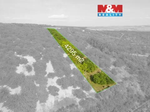 Prodej pole, Židlochovice, 4295 m2