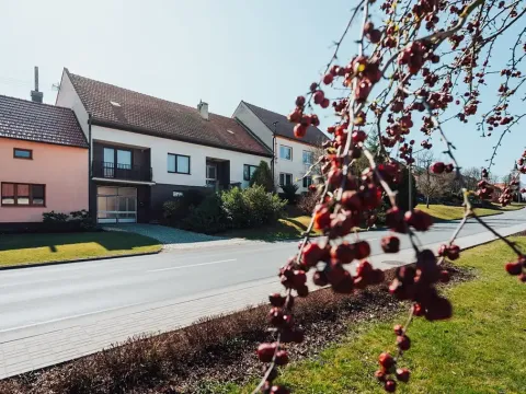 Prodej rodinného domu, Nedachlebice, 410 m2