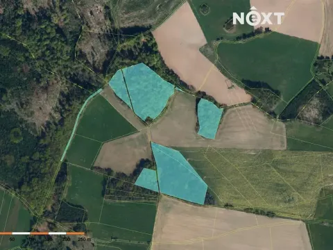 Prodej lesa, Věž, 41070 m2