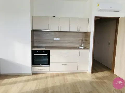 Pronájem bytu 1+kk, Olomouc, 30 m2