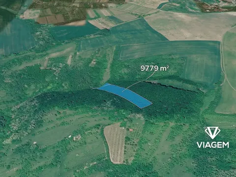 Prodej podílu lesa, Klobouky u Brna, 1086 m2