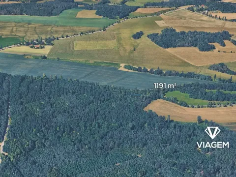 Prodej podílu lesa, Korkyně, 595 m2