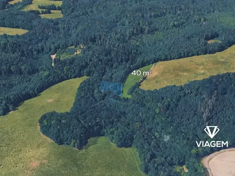 Prodej podílu lesa, Životice u Nového Jičína, 2098 m2