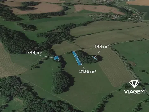 Prodej podílu lesa, Záhoří, 1554 m2