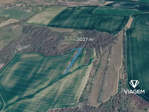 Prodej lesa, Bučovice, 3027 m2