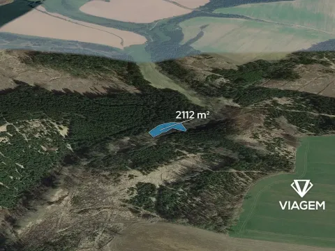 Prodej lesa, Zbizuby, 2112 m2
