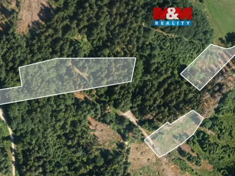 Prodej lesa, Železný Brod, 11203 m2