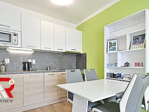 Prodej bytu 1+kk, Brno, Turgeněvova, 40 m2