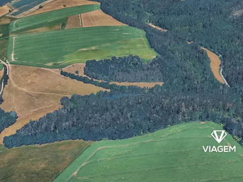 Prodej lesa, Střítež nad Ludinou, 1738 m2