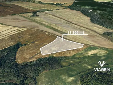 Prodej podílu pole, Štětí, 7088 m2